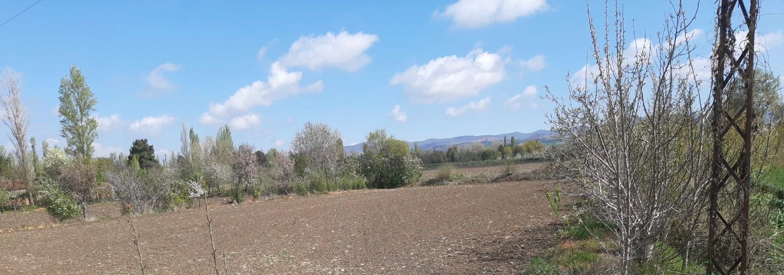 MABEL'DEN ANA  YOL KENARINDA SATILIK FIRSAT TARLA